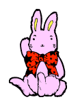 rabbit